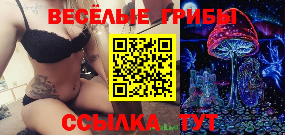 Псилоцибиновые грибы Psilocybe  Вход с VPN  Балтийск 