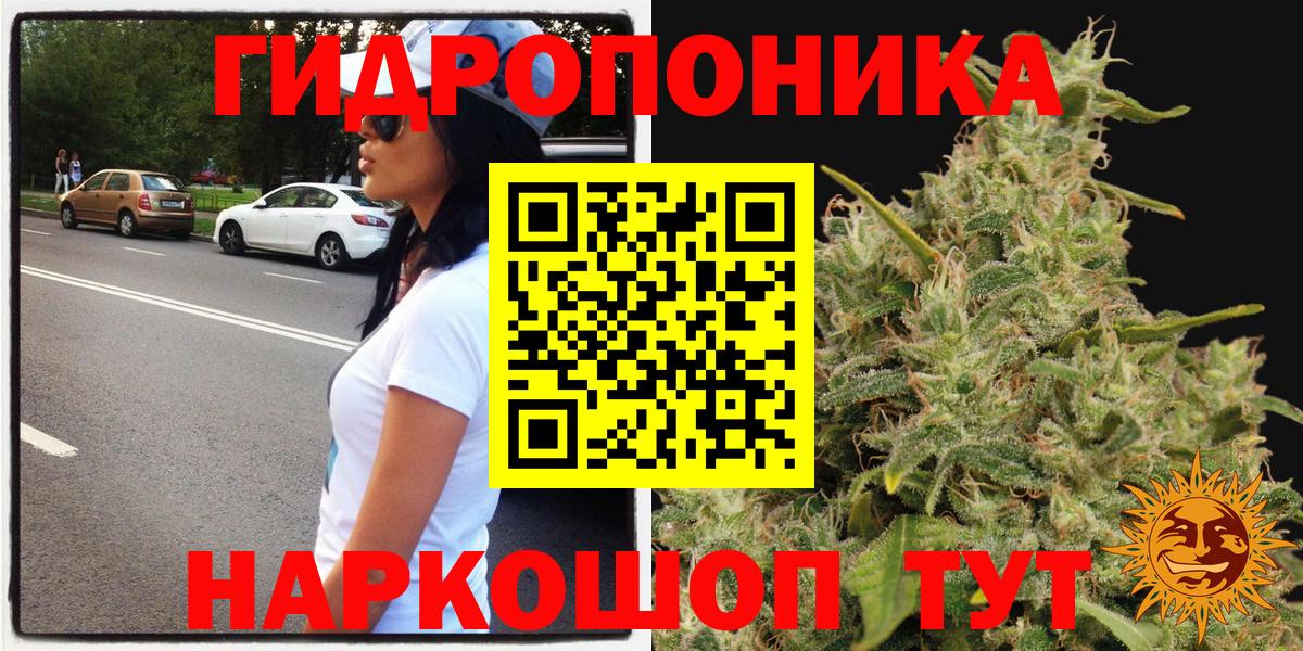 Бошки марихуана OG Kush  Каннабис Ganja  Балтийск  Вход с VPN  Марихуана индика 